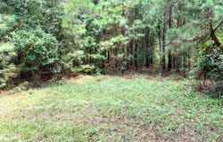 1992 BUCK WRIGHT ROAD, Ashdown, AR 71822
