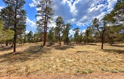 PAR 007H Chevelon Rd, Heber, AZ 85928