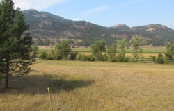 CUSTOMS Rd, CURLEW, WA 99118