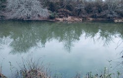 Polk Road 74, Mena, AR 71953