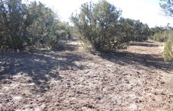 627 E Hualpai Trail, Williams, AZ 86046