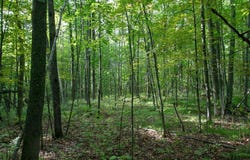 48329 Olson Road, Hinckley, MN 55037