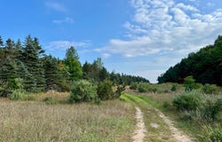 Skinner Road, Ellsworth, MI 49729