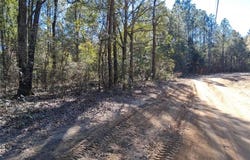 Williamson Road, Chunchula, AL 36521