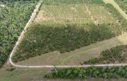 Live Oak, FL 32060