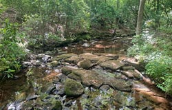 NIX Rd, Nauvoo, AL 35578