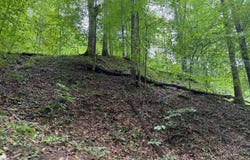 996 Bear Creek Rd, Gassaway, WV 26624