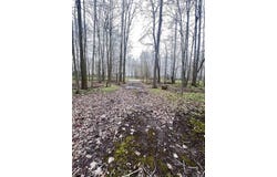 Fox Ridge Lane, Allenton, MI 48002