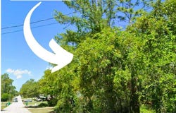 1567 E Cleveland St, Hernando, FL 34442