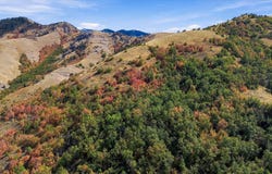 3000 E CANYON Rd, Smithfield, UT 84335