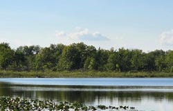 N Drive S, Burlington, MI 49029