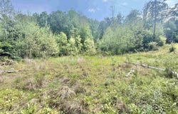 Big Pigeon Road, Procious, WV 25164