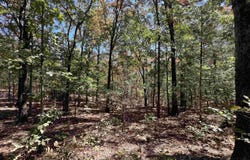 Cee Jay Ln, Sulphur Rock, AR 72579