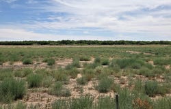 6525 Valle Del Rio Drive, La Mesa, NM 88044