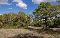 Tract 7 E Terry Road, Duncan, OK 73533