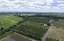 SE UPPER ISLAND Rd, Dayton, OR 97114
