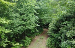 Blowing Rock Road, Lenoir, NC 28645