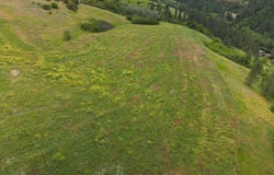American Ridge Rd (Parcel 7), Kendrick, ID 83537