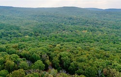Ozark Point (Tract 1), Rudy, AR 72952