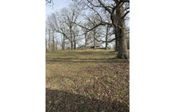 14658 County Road 7430, Caulfield, MO 65626
