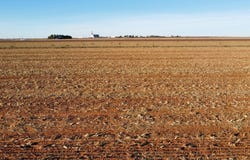 6653 Tiger Road, Ropesville, TX 79358