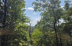 19320 Highway 8 - Tract 4, St James, MO 65559