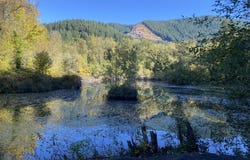2 E Brightwood Loop Rd, Brightwood, OR 97011