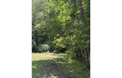 middle branch, McDowell, KY 41647