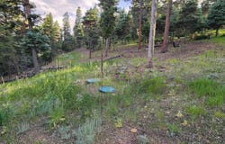 Ely Cabins B7, Eagle Nest, NM 87718
