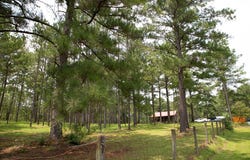340 Joshlyn Rd., Fitzgerald, GA 31750