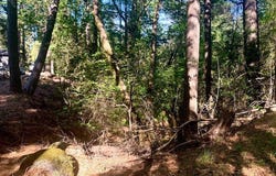 17325 Fernbrook, Middletown, CA 95461