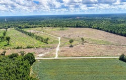 Old Forreston Rd., Greeleyville, SC 29056