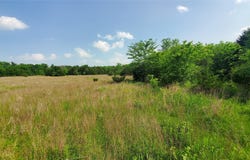 9999 Private Road lot: 1194, Celeste, TX 75423