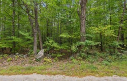 Edes Falls Road, Harrison, ME 04040