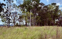 1002 Dys Drive, Cabool, MO 65689