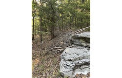 143A Dreamrider Dr., Melbourne, AR 72556