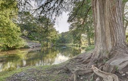 246 River Rd, Hunt, TX 78024