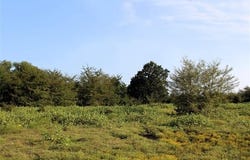 US Hwy 70, Bennington, OK 74723
