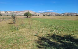 Mt Pleasant, UT 84647