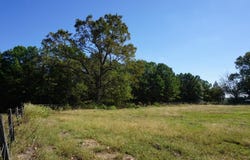 4301 Plainview Dr, Naples, TX 75568