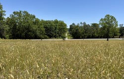 1301 Jameson Road, Easley, SC 29640