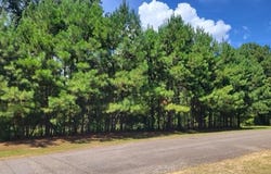 Park lot: 1, McComb, MS 39648