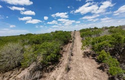 FM 534, Sandia, TX 78383