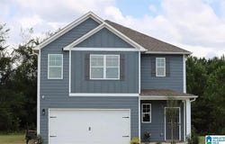 9977 HUNTER PLACE, WARRIOR, AL 35180
