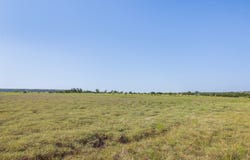 County Road 520, Evant, TX 76531