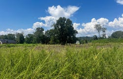 Leeward Drive, Jasper, TN 37347