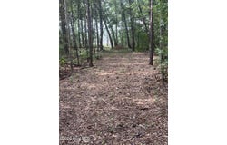 Cedar Lane lot: 4, Belhaven, NC 27810