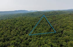N MAPLE RD, MOUNT JACKSON, VA 22842