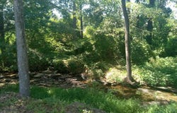 139 STELLA LOCKARD Rd, Cordova, AL 35550