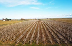 150 Fern Road, Othello, WA 99344